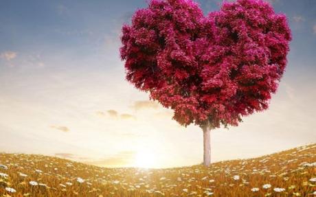 ¡No basta con sentir amor, hay que saber expresarlo! ¡No basta con sentir amor, hay que saber expresarlo!