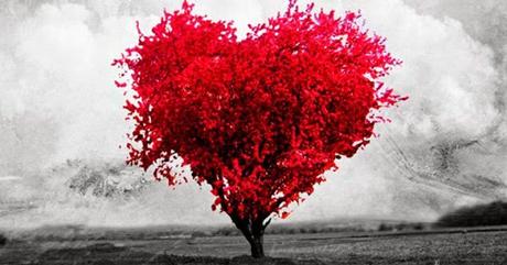 ¡No basta con sentir amor, hay que saber expresarlo!