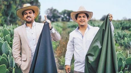 ¡Increíble!: Exitosos empresarios mexicanos crean piel vegana de nopal