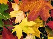 Otoño caliente