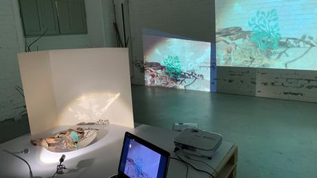 Reggio Emilia: Mi visita al Centro Loris Malaguzzi