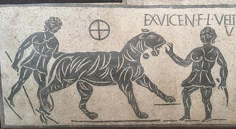 Gladiatrix, mujeres en la arena .