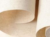 Decoración ecológica: algunas ideas para renovar hogar