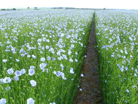 decoracion sostenible