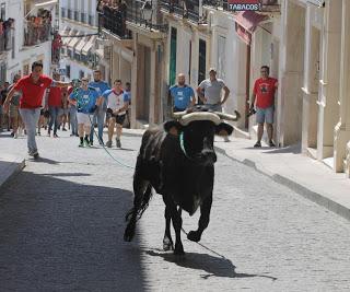 EL REGLAMENTO DE FESTEJOS TAURINOS POPULARES AGILIZA AUTORIZACIONES E INCREMENTA LA SEGURIDAD EL REGLAMENTO DE FESTEJOS TAURINOS POPULARES AGILIZA AUTORIZACIONES E INCREMENTA LA SEGURIDAD