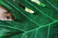 Peninsular versiona Via Lactea