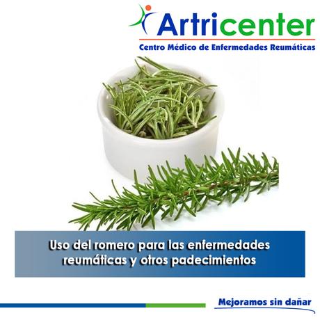 Artricenter: Uso del romero para las enfermedades reumáticas y otros padecimientos