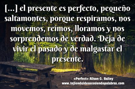 PERFECT - Alison G. Bailey