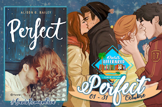 PERFECT - Alison G. Bailey