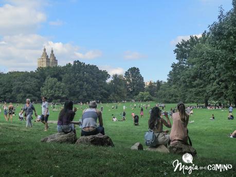 Qué hacer en Nueva York con niños