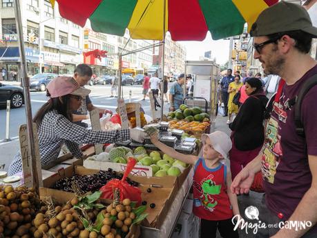 Qué hacer en Nueva York con niños