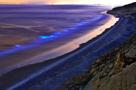 Resultado de imagen para La laguna bioluminiscente de Oaxaca