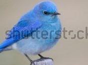 Twitter, cambiar sistema establecido”