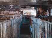 María Jesús Avello López: Hambre