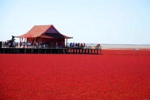 Playa Roja, Un paisaje que debes visitar