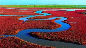 Playa Roja, Un paisaje que debes visitar