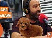 programa programo 1×06