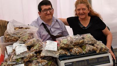 Produce hongos con su hijo con discapacidad para que el joven pueda vivir solo