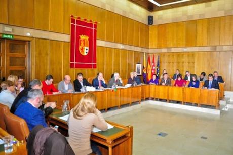 RESUMEN PLENO NOVIEMBRE 2012