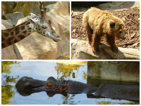 El zoo de Barcelona