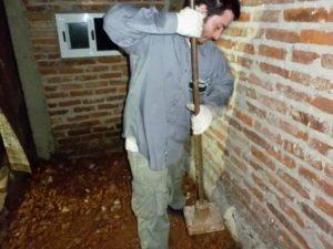 El Planeta sin Transporte Salchi Pensamientos 100