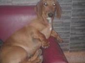 Planeta Transporte Salchi Pensamientos