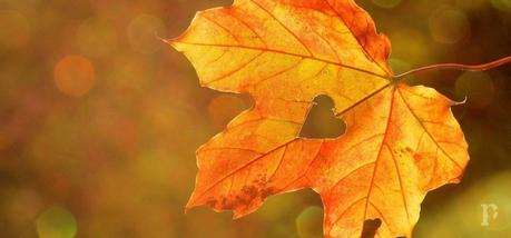 Inminente | No sé si con palabras Inminente | No sé si con palabras