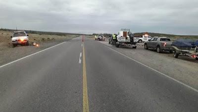 Secuestran más de 50 piezas de truchas en El Chocón