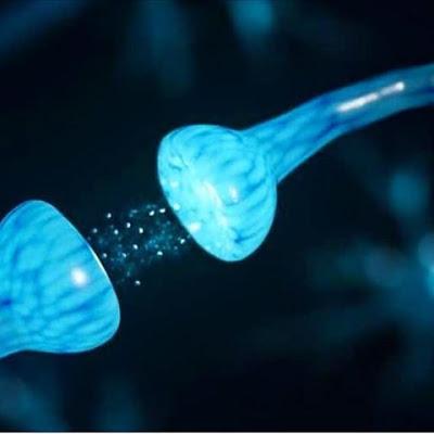 neurotransmision