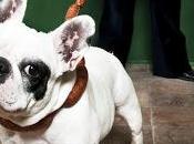 Resaca sueños incumplidos