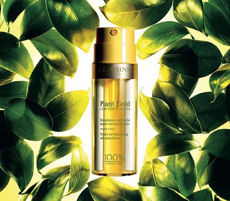 plant-gold-lor-des-plantes-clarins-abierto