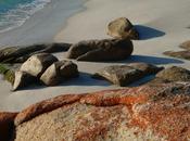 Rocks