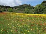 Actividades imprescindibles primavera