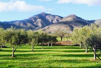 Descubre los Campos de Uleila en Almería