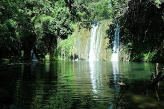 Paraíso de ensueño. Bosques y cascadas en la Garrotxa