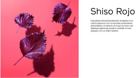 Waso de Shiseido