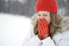 Resfriados de invierno y en qué medida influyen los insectos.
