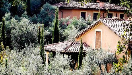 Vaquería cantaelgallo