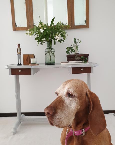 Una transformación de primavera en gris claro y madera