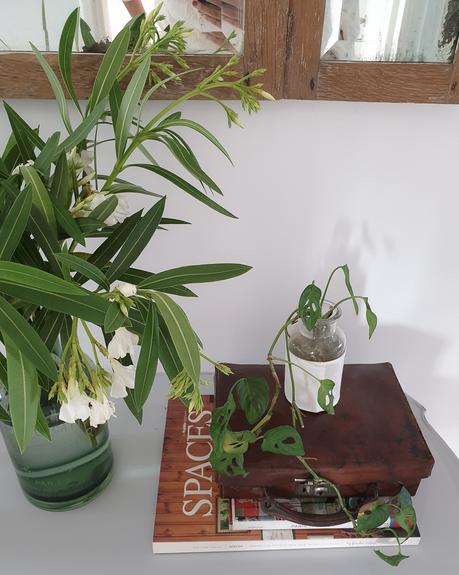 Una transformación de primavera en gris claro y madera