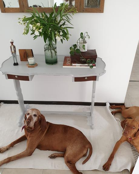 Una transformación de primavera en gris claro y madera