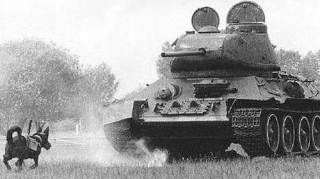 ALGUNOS EPISODIOS SORPRENDENTES PERO DE ESCASA TRASCENDENCIA DE LA II GUERRA MUNDIAL ALGUNOS EPISODIOS SORPRENDENTES PERO DE ESCASA TRASCENDENCIA DE LA II GUERRA MUNDIAL