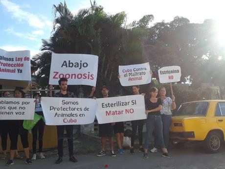 Activistas cubanos protestan contra el maltrato animal en La Habana