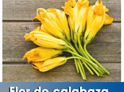 Artricenter: Flor calabaza