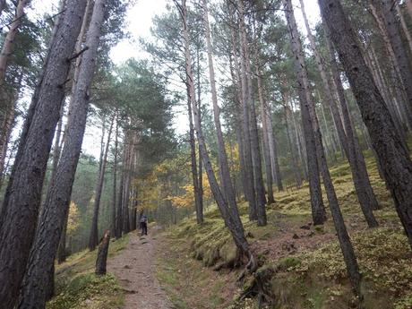 De Ribes de Freser al refugio Pla de l'Erola | Vall de Ribes (Girona)