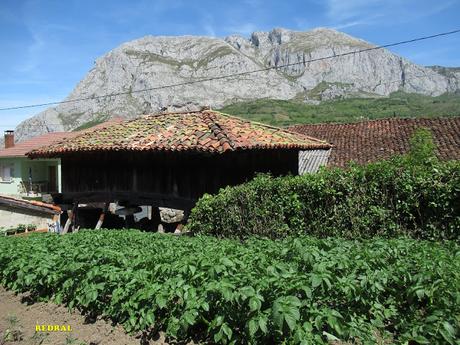 Riel.lu-Cuañana-San Xuan de Volantes-Vil.launel-Cansinos