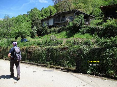 Riel.lu-Cuañana-San Xuan de Volantes-Vil.launel-Cansinos