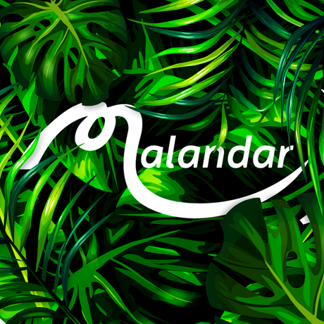 NOVIEMBRE en Sala Malandar de Sevilla