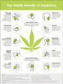 The Secrets of Medical Marijuana Revealed