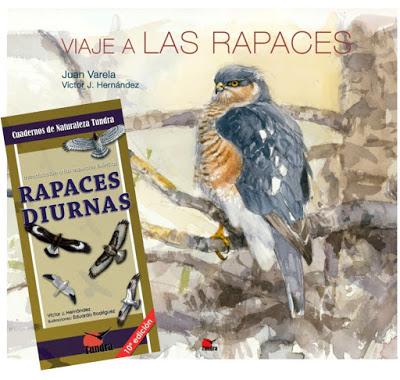OFERTA: guía + libro firmado RAPACES (hasta el 17 de noviembre)